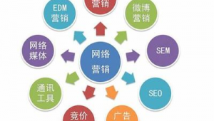 北京網(wǎng)絡(luò)推廣營銷與網(wǎng)絡(luò)技術(shù)服務(wù) 數(shù)字化轉(zhuǎn)型中的雙翼驅(qū)動(dòng)